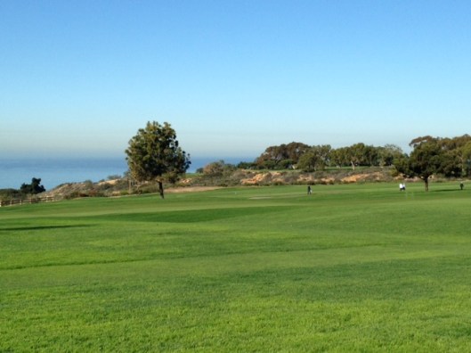 Torrey Pines 2